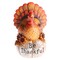 MorTime Thanksgiving Decorations Hand-Painted Turkey Pumpkin, Tabletop Turkey Fall Autumn Decor for Living Room Bedroom Kitchen Thanksgiving Harvest Day